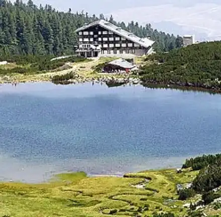 The PP „Green“ was convicted of stealing a party name