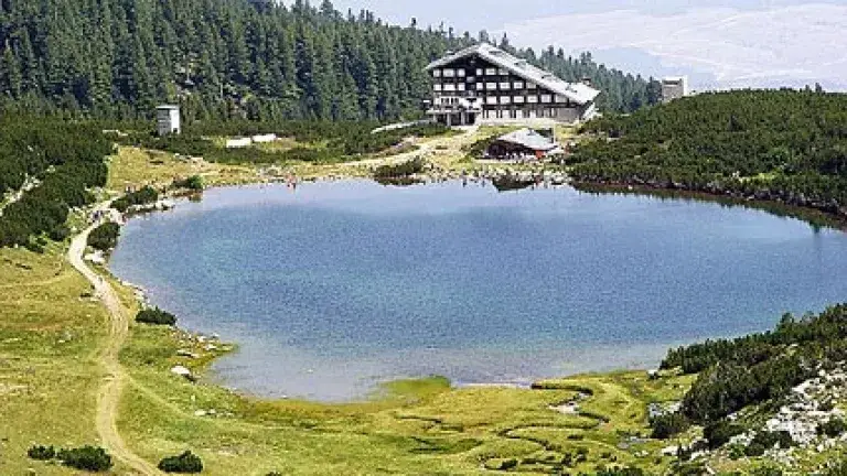 The PP „Green“ was convicted of stealing a party name