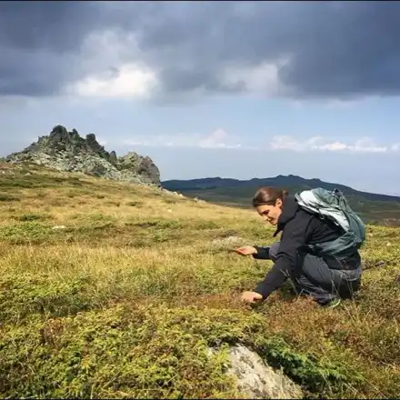 Момиче на Бонд спасява Витоша