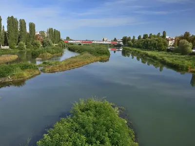 See the feast of Toma Belev and a group of environmentalists in Plovdiv