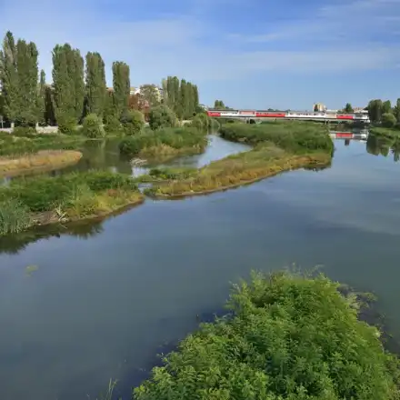 See the feast of Toma Belev and a group of environmentalists in Plovdiv