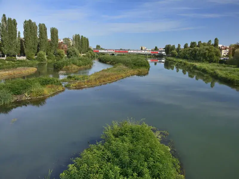 See the feast of Toma Belev and a group of environmentalists in Plovdiv