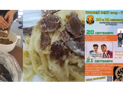 Трюфел Фест 2019 - Угърчин с куп атракции и свободен вход! Ще търсим, готвим и опитваме ястия с божествената гъба БЕЗПЛАТНО