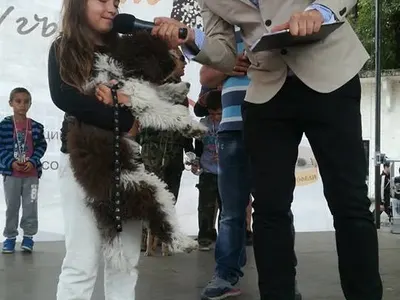 Трюфел Фест 2019 - Угърчин с куп атракции и свободен вход! Ще търсим, готвим и опитваме ястия с божествената гъба БЕЗПЛАТНО