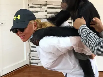 Ваня Червенкова - доброволец в зоопарк (Бизнесдамата боядисва оградата, гушка се с шимпанзетата - Снимки)