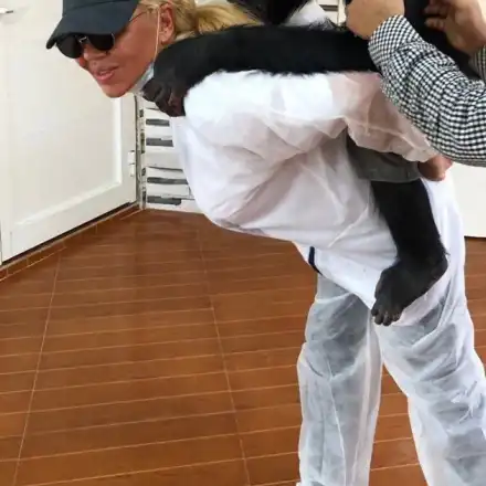 Ваня Червенкова - доброволец в зоопарк (Бизнесдамата боядисва оградата, гушка се с шимпанзетата - Снимки)