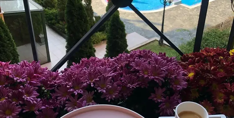 Венета Райкова всяка неделя върти палачинки