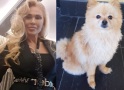 Дизайнерката Евгения Борисова е съкрушена от скръб, отчаяно издирва изгубеното си куче (Снимки)