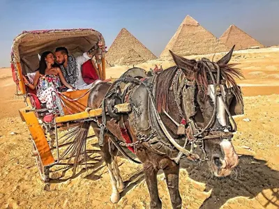 Джино заведе гаджето в Египет