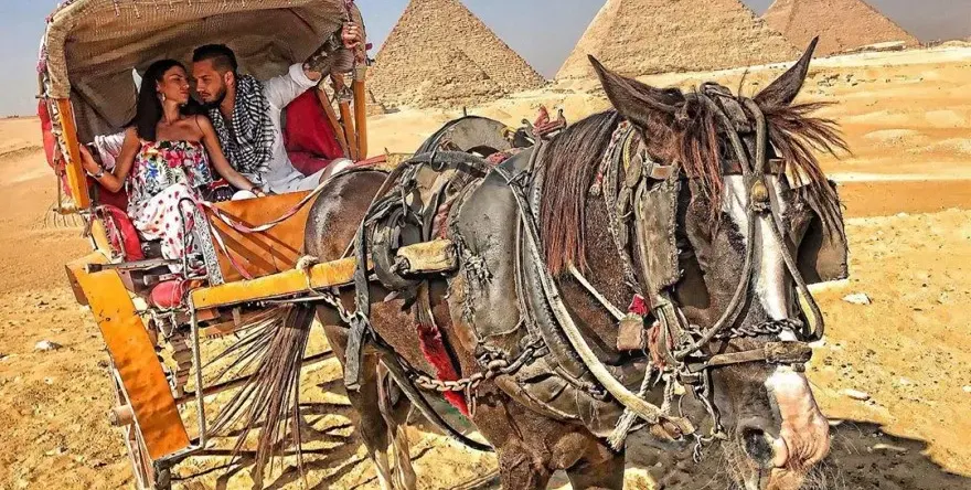 Джино заведе гаджето в Египет