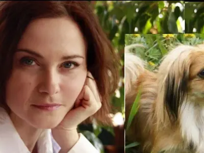 Нахапаха кучето на Стефка Янорова