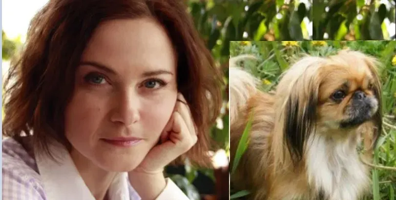 Нахапаха кучето на Стефка Янорова