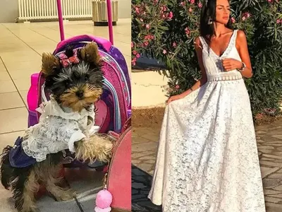 Пес Патрул! Годеницата на Джино се облича като кучето му! (Снимки в галерията)