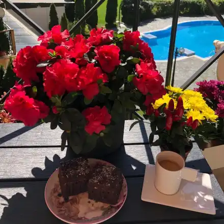 Венета гледа люти чушки