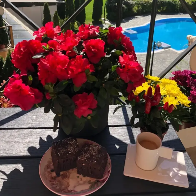 Венета гледа люти чушки