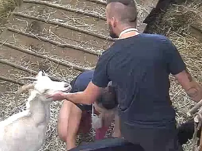 Бизнесмен хипонотизира кози във „Фермата“