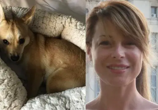 Мира Добрева осинови пинчероподобно куче