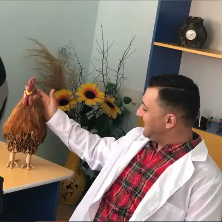 Борис Дали преглежда кокошки