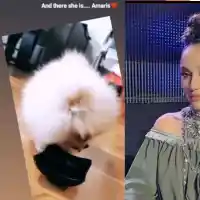 И Мария Илиева с куче бо