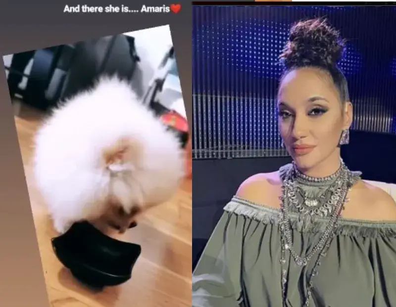 И Мария Илиева с куче бо