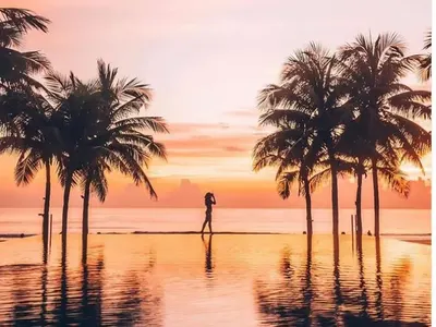 Ники М. глези Николета във Виетнам