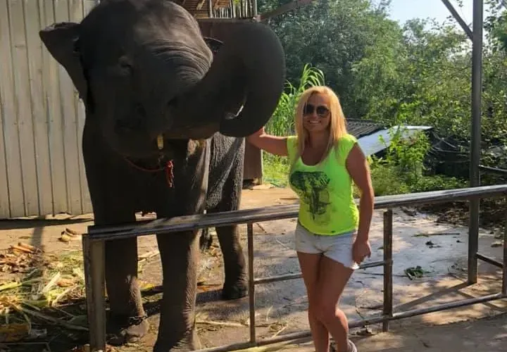 Слон налази фолкаджийка