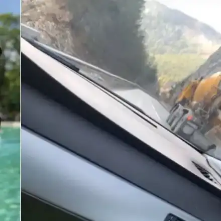 Внимание, опасност на пътя! Синът на Десислава кара като джигит