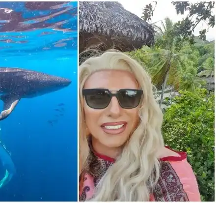 Елза Парини налетя на акули във Филипините!