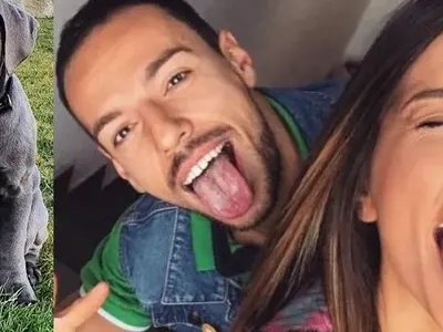 Петканови си взеха куче-гигант