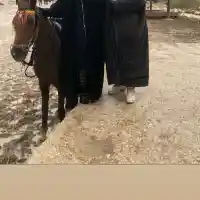 УЖАС! МЕГЗ се евакуира в Петра (Снимки)