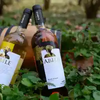 Грандиозен празник на виното за пореден път организира Вила Ямбол