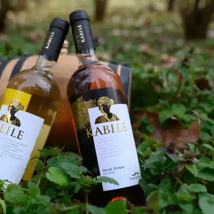 Грандиозен празник на виното за пореден път организира Вила Ямбол