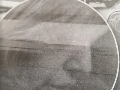 И Даниела Серданова изду джуки (Фото)