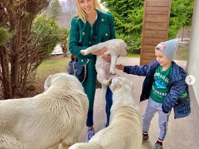 Жасмина Маджид гледа 3 кучета