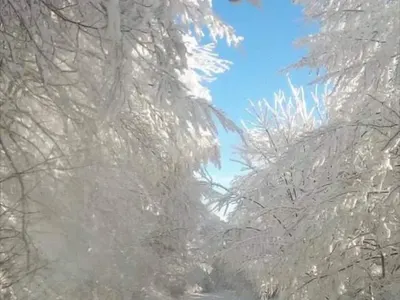КРАЙ с брака на Емилия (Ето какво написа Жорж Башур)