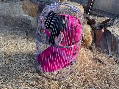 Анита Мейзер влезе в клетка