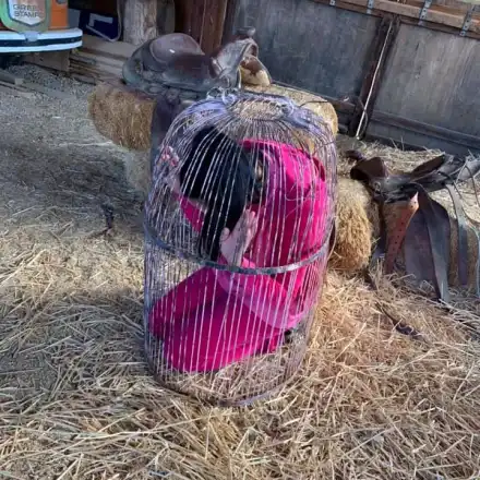 Анита Мейзер влезе в клетка