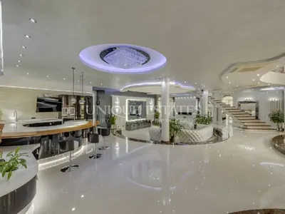 Баровецът с „Бугати” за 5 млн., продава палата си в Драгалевци на космическа цена (Снимки на невиждания лукс)