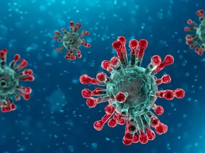 Водка, уиски и ракия влизат в битка срещу Covid-19