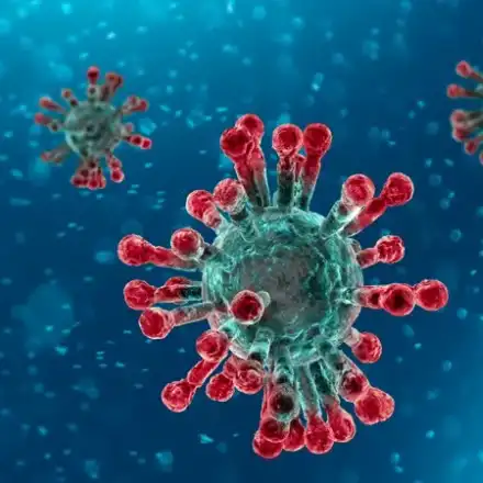 Водка, уиски и ракия влизат в битка срещу Covid-19