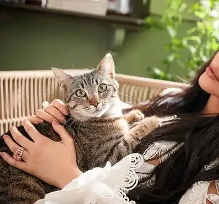 Ген. Мутафчийски депресира Галена, певицата пали свещи за Великден вкъщи