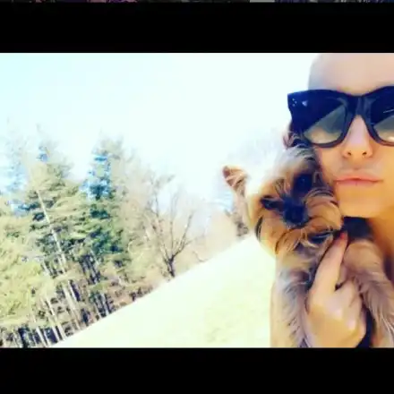 Куче спасява Анелия