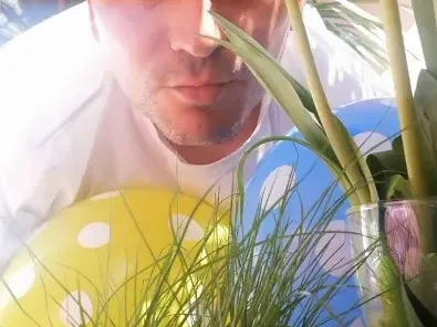 Митко Павлов съвсем изтрещя: Йонито обича ли козунак, или агнешко краче му е достатъчно?