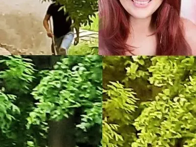 Джина откри стрелеца по котките