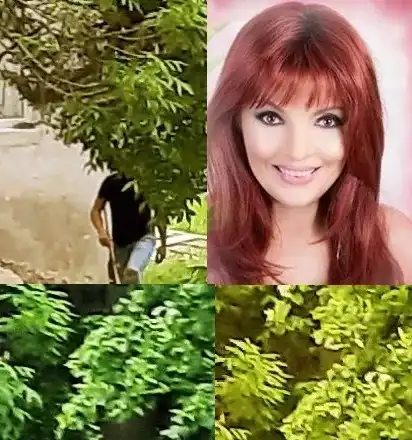 Джина откри стрелеца по котките