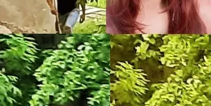 Джина откри стрелеца по котките