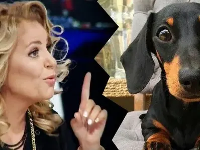 Хилда се фука с говорещ дакел: Казва ми мама