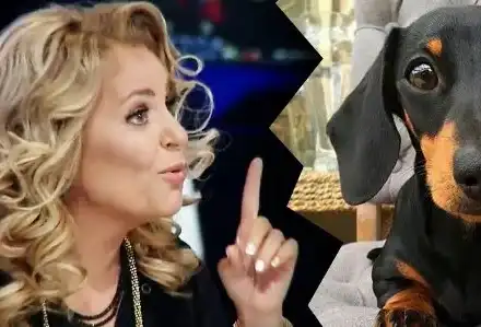 Хилда се фука с говорещ дакел: Казва ми мама