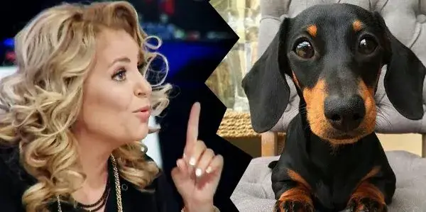 Хилда се фука с говорещ дакел: Казва ми мама