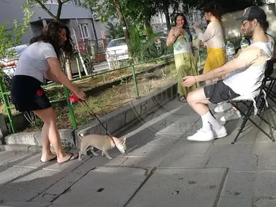 Папи Ханс се пусна по бели чорапки (Вижте какъв стил показа - Фото)